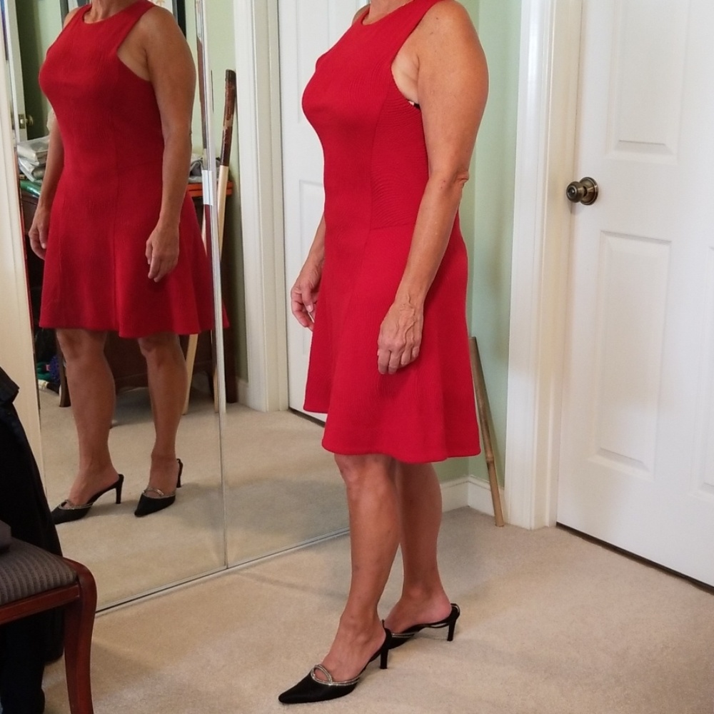 Rag & Bone Red Sheath Dress
